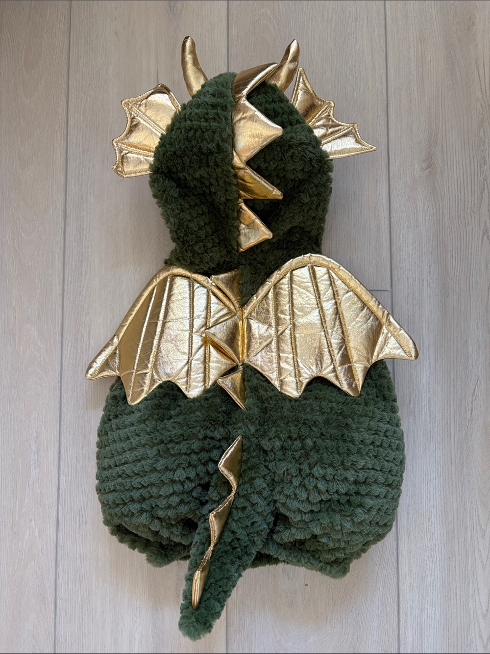 Dragon Costume - Picture 2 of 3